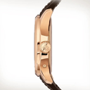Montre Patek Aquanaut Homme – Marron